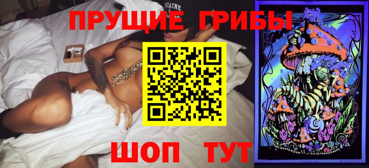 Галлюциногенные грибы прущие грибы  Вход с VPN  Малоярославец  Галлюциногенные грибы мухоморы 